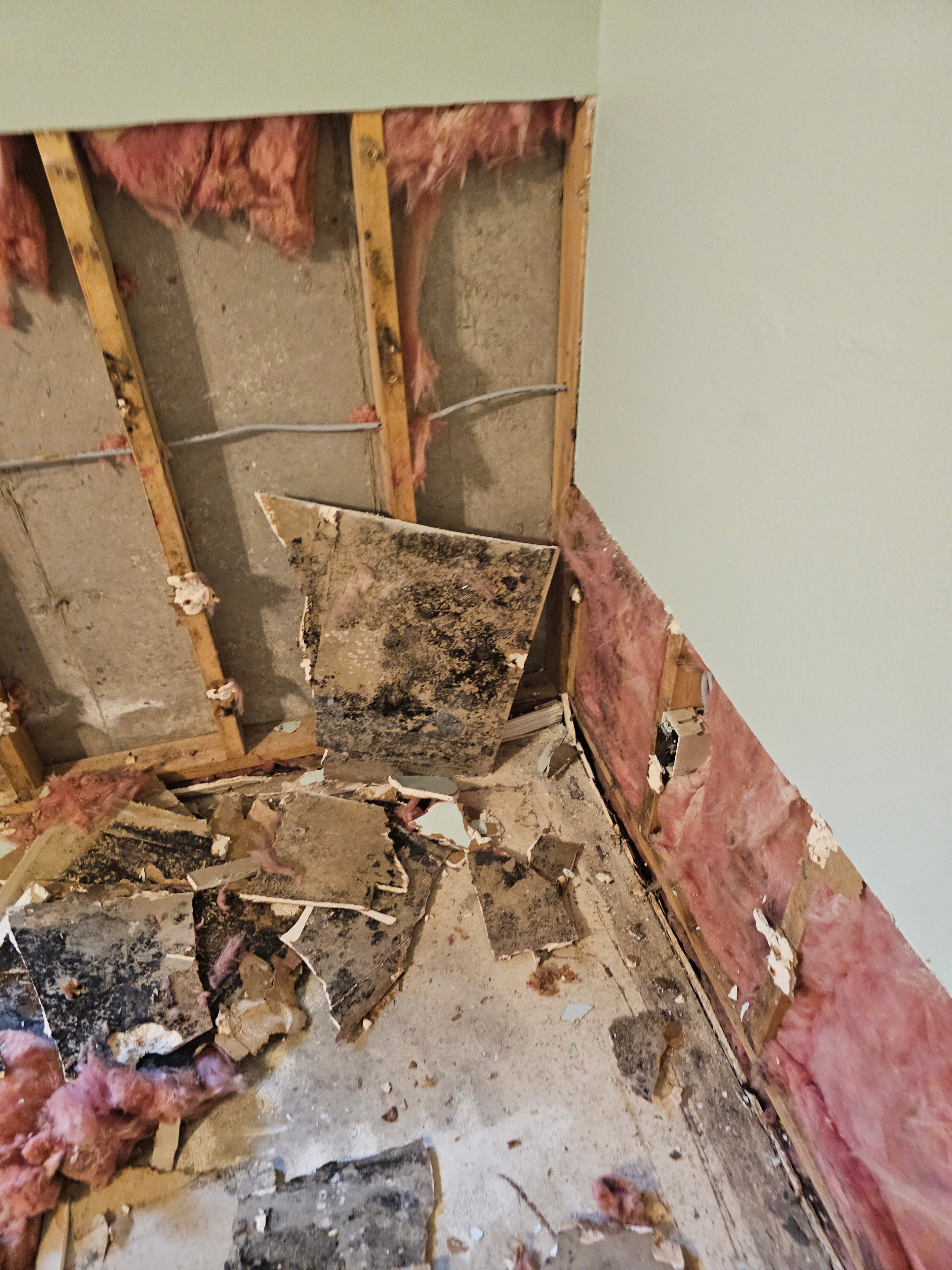 Close-up of black mold growth on drywall and framing after flood damage