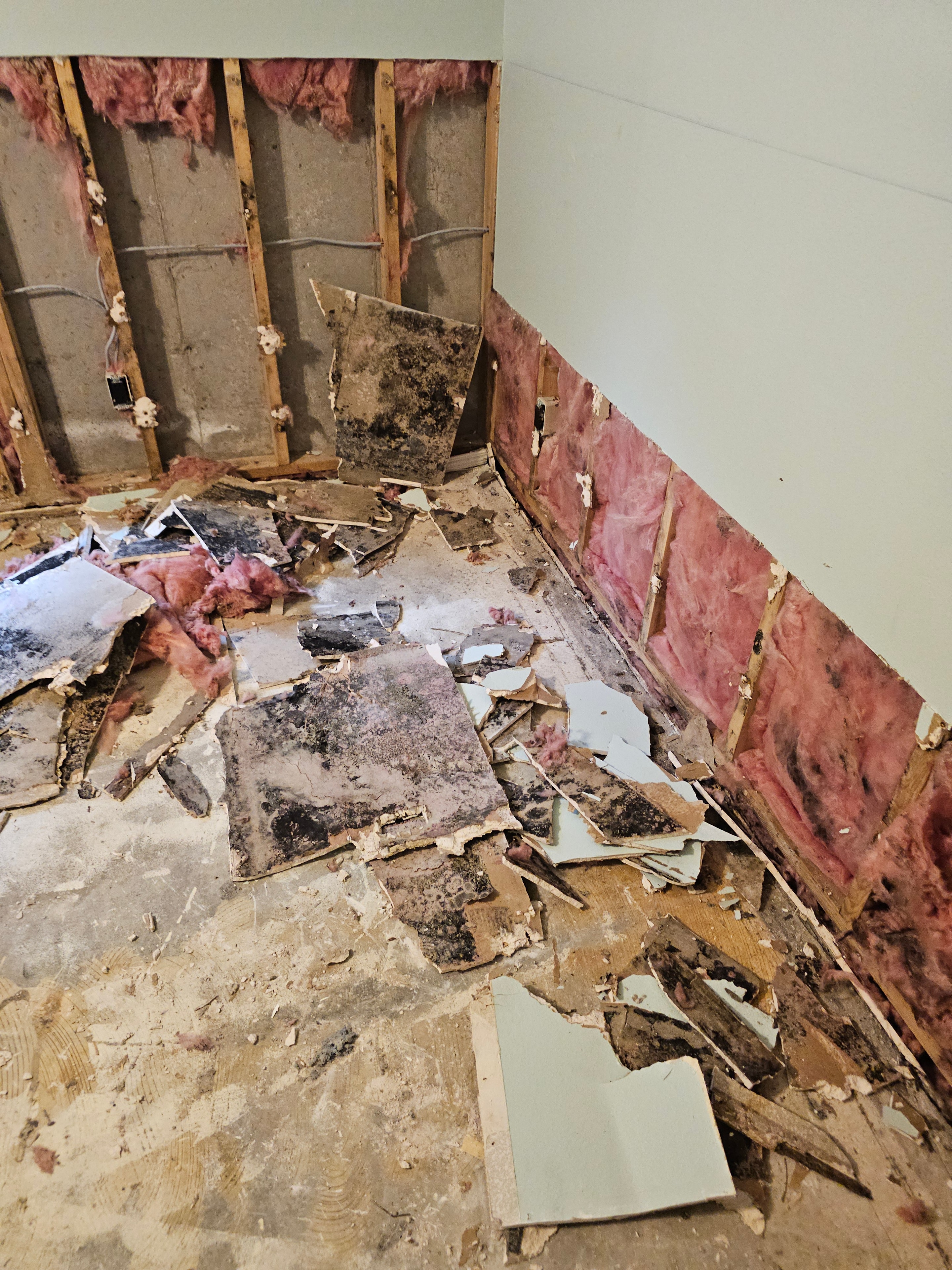 Absolute Water Damage technician performing HEPA vacuuming during mold remediation in Colorado Springs