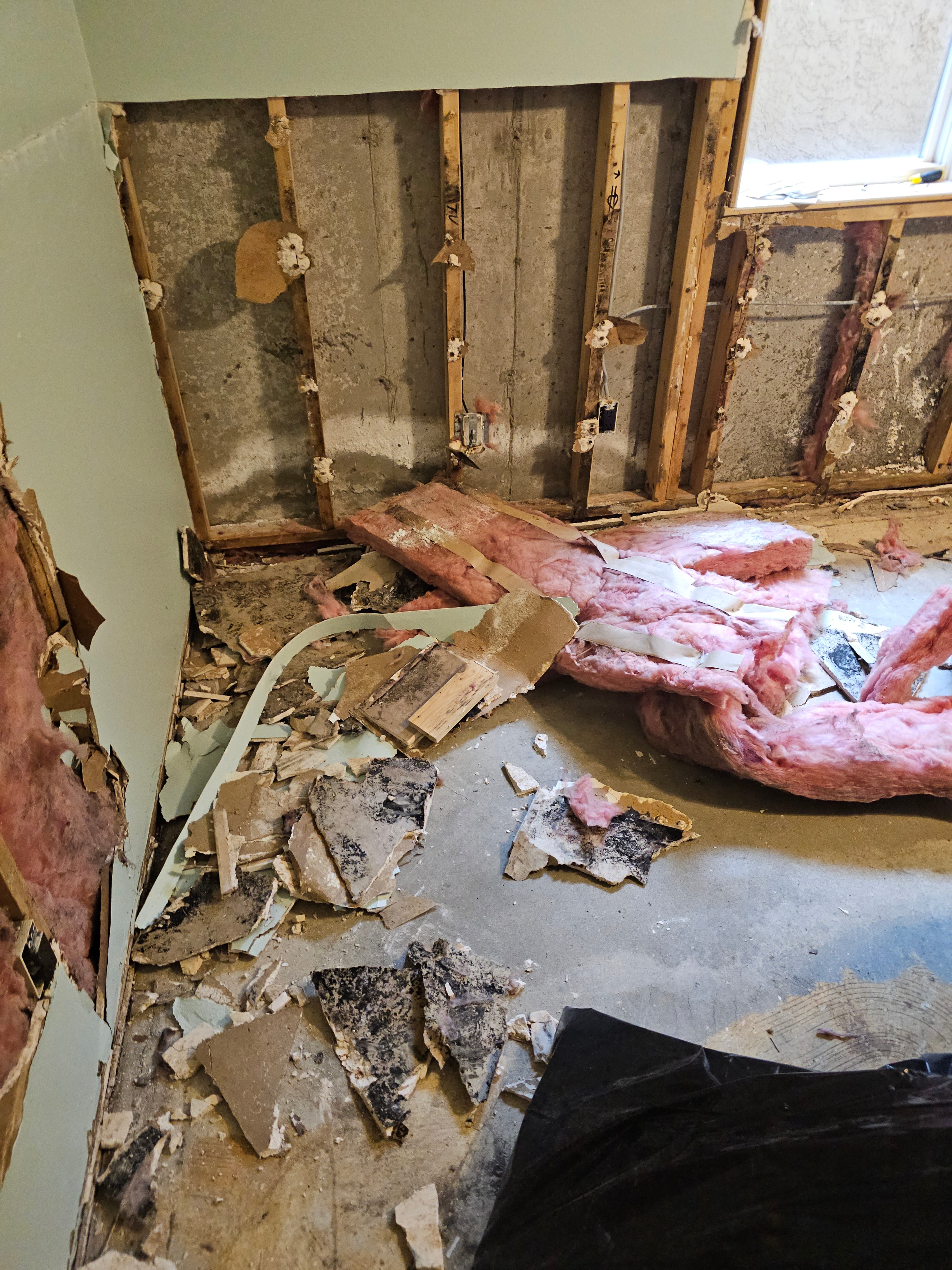 Mold damage to wall cavity insulation and framing in Colorado Springs home