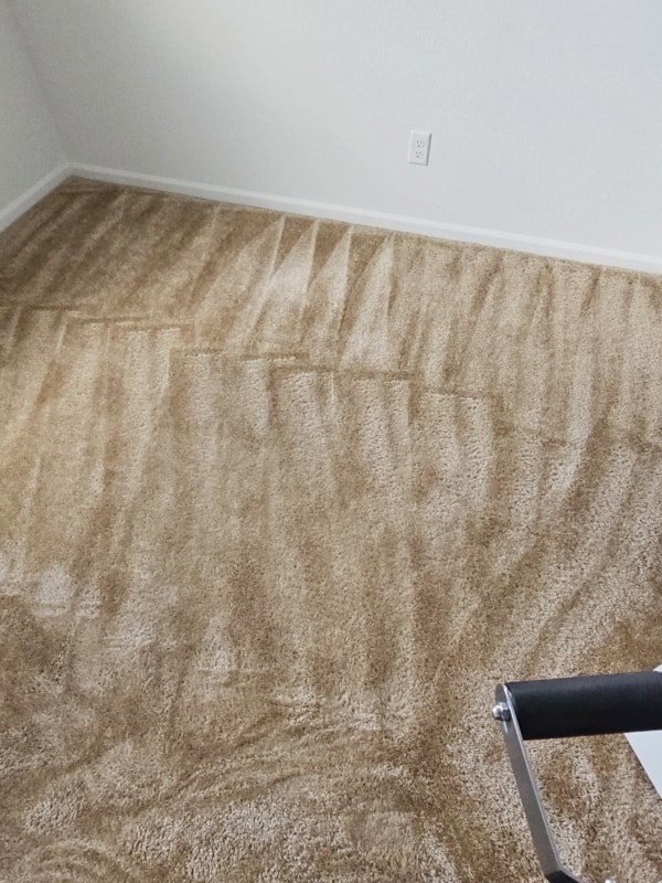 Carpet Cleaning — Colorado Springs, CO